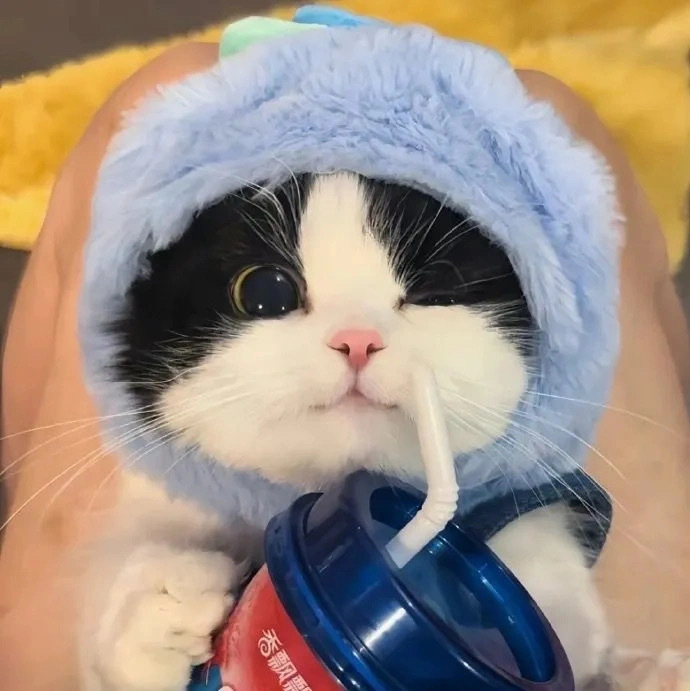 admin的头像-百盟网